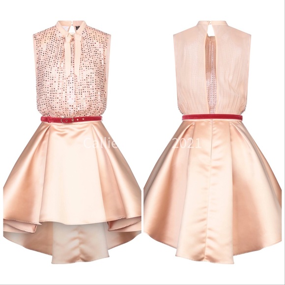 Callie Sequin & Satin: Elisabetta Franchi Dress - Picture 3 of 6